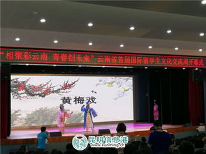 彩云之南搭桥梁 青春友谊谱新章——云南省首届国际留学生文化交流周开幕